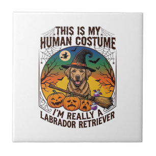Carreau Costume Humain Labrador Retriever Sorcière d'Hallo