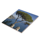 Carreau Côte amalfitaine, Ravello, Campanie, Italie (Côté)