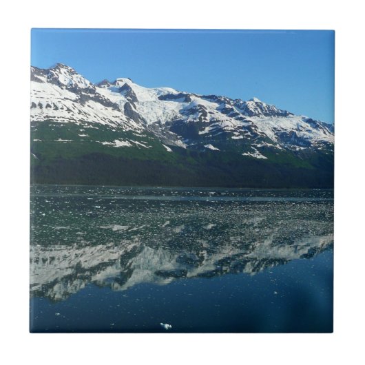 Carreau Côte de l'Alaska Belle photographie de la nature (Devant)