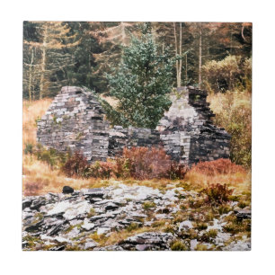 CARREAU COTTATES BIENNES