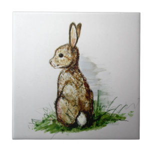 Carreau Cottontail. . .