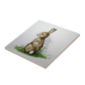 Carreau Cottontail. . . (Côté)