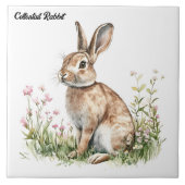Carreau Cottontail Rabbit (Devant)
