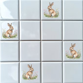 Carreau Cottontail Rabbit