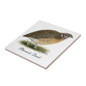 Carreau Coturnix Pharaoh (Côté)