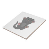 Carreau Couchage de chat (Côté)