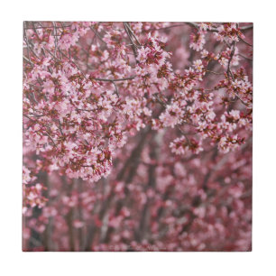 Carreau Couche de fleurs de cerisier japonais rose carrelé
