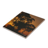 Carreau Coucher de soleil de Savannah (Côté)