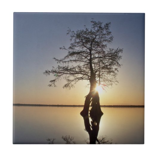 Carreau Coucher de soleil derrière un arbre (Devant)