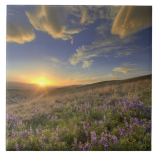 Carreau Coucher de soleil sur les montagnes Bitterroot et 