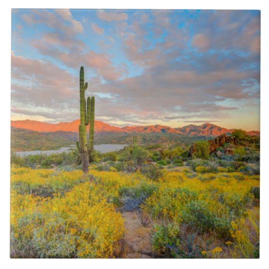 Carreau Coucher de soleil sur paysage désertique (Devant)