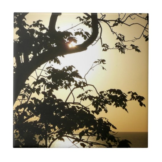 Carreau Coucher du soleil à travers les arbres II Photogra (Devant)