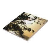 Carreau Coucher du soleil à travers les arbres II Photogra (Côté)