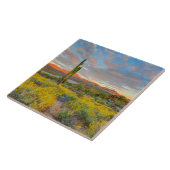 Carreau Coucher du soleil sur le paysage désertique (Côté)