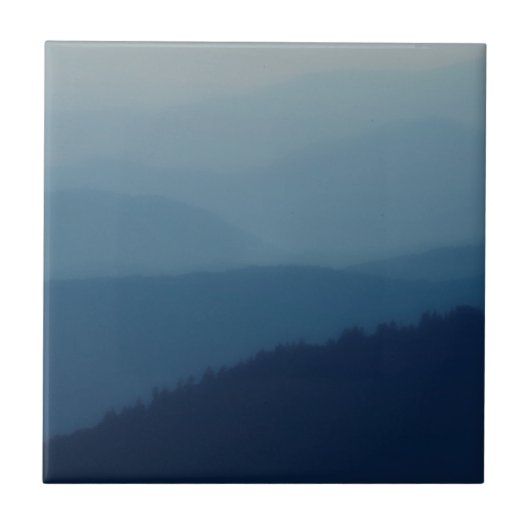 Carreau Couches bleues (Devant)