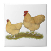 Carreau Coucou de citron d'Orpingtons (Devant)