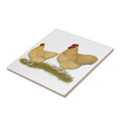 Carreau Coucou de citron d'Orpingtons (Côté)