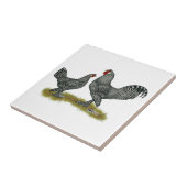 Carreau Coucou de poulets de Breda (Côté)