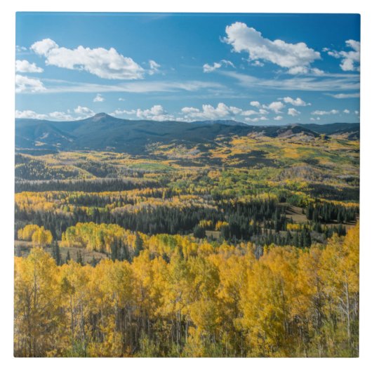 Carreau Couleur d'automne en haut plat | Forêt nationale d (Devant)