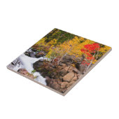 Carreau Couleur d'automne le long de Bishop Creek, CA (Côté)