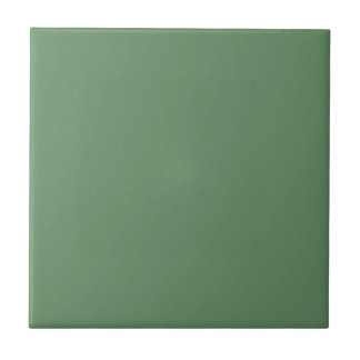Carreau Couleur uni pastel vert clair Pierre vert