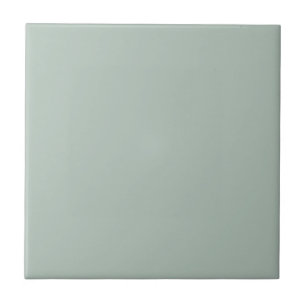 Carreau Couleur vert eucalyptus assourdi