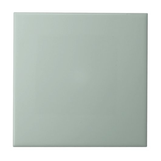 Carreau Couleur vert eucalyptus assourdi (Devant)