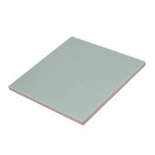 Carreau Couleur vert eucalyptus assourdi (Côté)