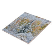 Carreau Couleurs automnales des Aspens et du col Keebler (Côté)