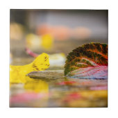 Carreau Couleurs d'automne (Devant)