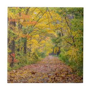 Carreau Couleurs d'automne au Independence State Park