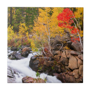 Carreau Couleurs d'automne le long de Bishop Creek, CA