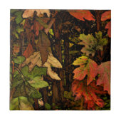 CARREAU COULEURS RICHES ET TERRESTRES / FEUILLES DE TOMBÉE (Devant)