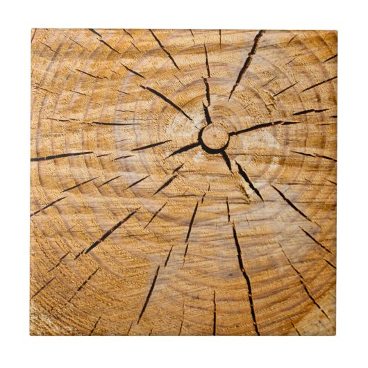 Carreau Coupe de vie en bois noueuse (Devant)