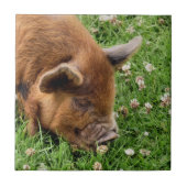 CARREAU COUPER (Devant)