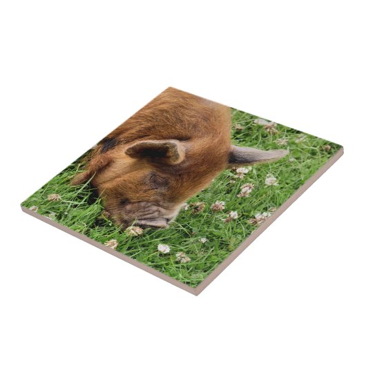 CARREAU COUPER (Côté)