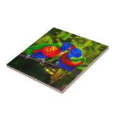 Carreau Couple coloré de perroquets (Côté)