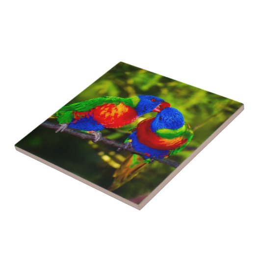 Carreau Couple coloré de perroquets (Côté)