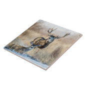 Carreau Couple de cerfs mulet (Côté)