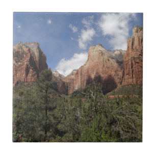 Carreau Cour des Patriarches II au parc national de Zion