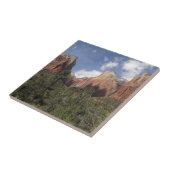 Carreau Cour des Patriarches II du Parc national de Sion (Côté)