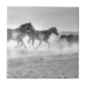 Carreau Course de mustang (Devant)