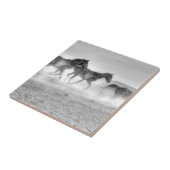 Carreau Course de mustang (Côté)