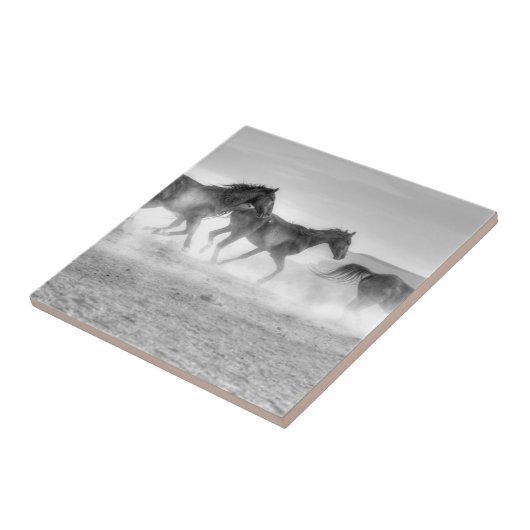 Carreau Course de mustang (Côté)