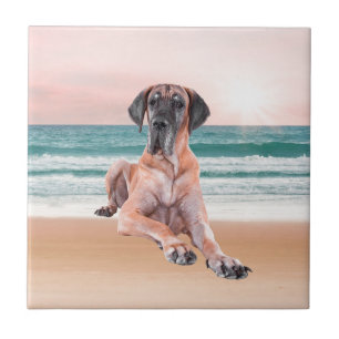 Carreau Coutume Grand Chien Danse assis sur la plage