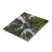 Carreau couvert de sapin de Douglas (Côté)