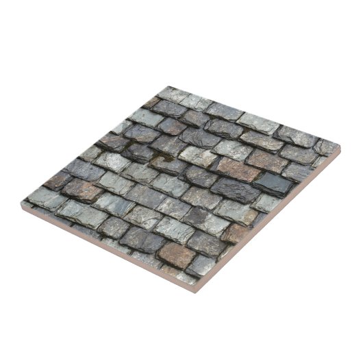 Carreau Couverture de toit avec des plats d'ardoise (Côté)