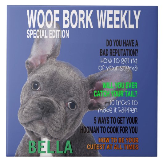 Carreau Couverture du magazine Boston Terrier Parody (Devant)