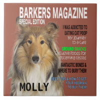 Couverture du magazine Collie Parody