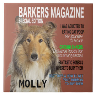 Carreau Couverture du magazine Collie Parody